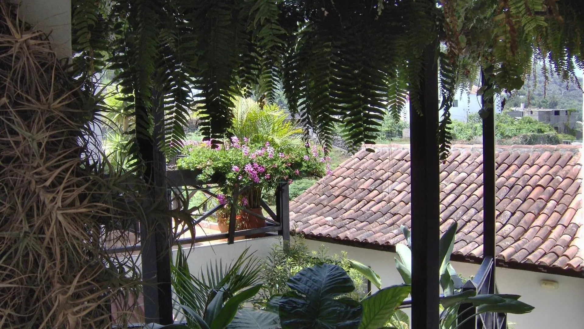 Rustikale Ferienwohnung Mit Balkon Und Meerblick イコー・デ・ロス・ビノス